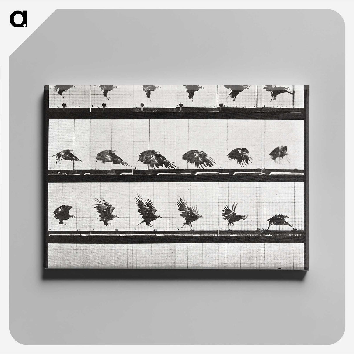 2-54_Eadweard-Muybridge_canvas