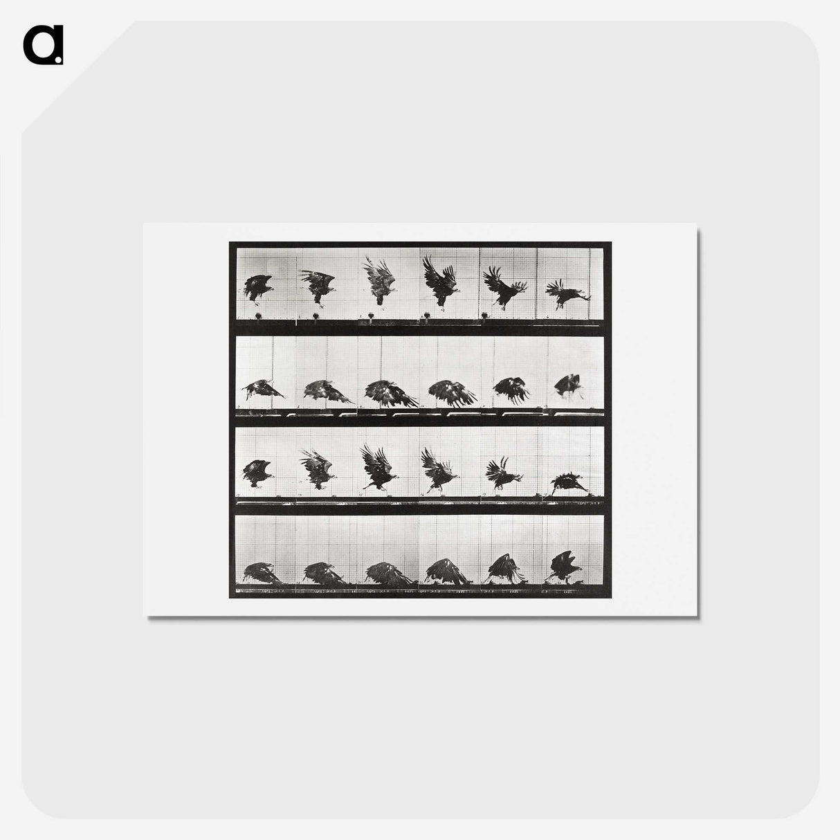 2-54_Eadweard-Muybridge_hagaki