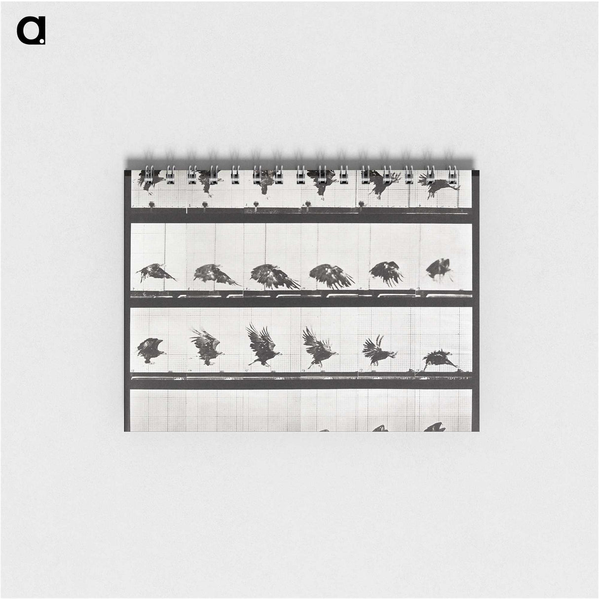 2-54_Eadweard-Muybridge_memo