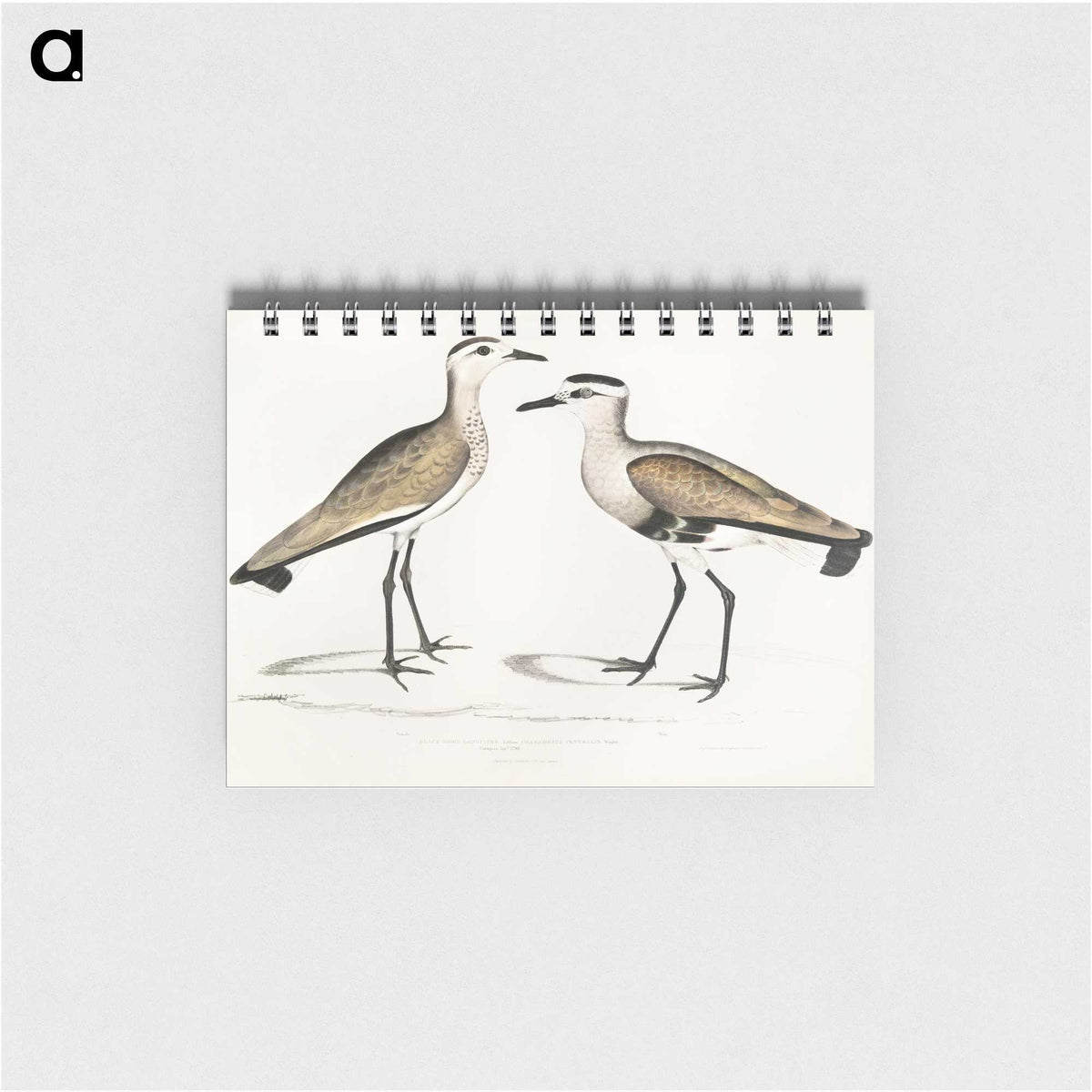 2-54_Indian-Zoology_memo