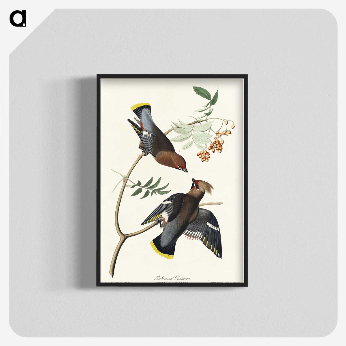 2-54_John-James-Audubon_blk-crop