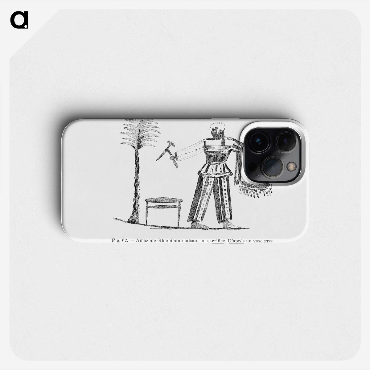2-54_Les-Palmiers-Histoire-Iconographique_phone