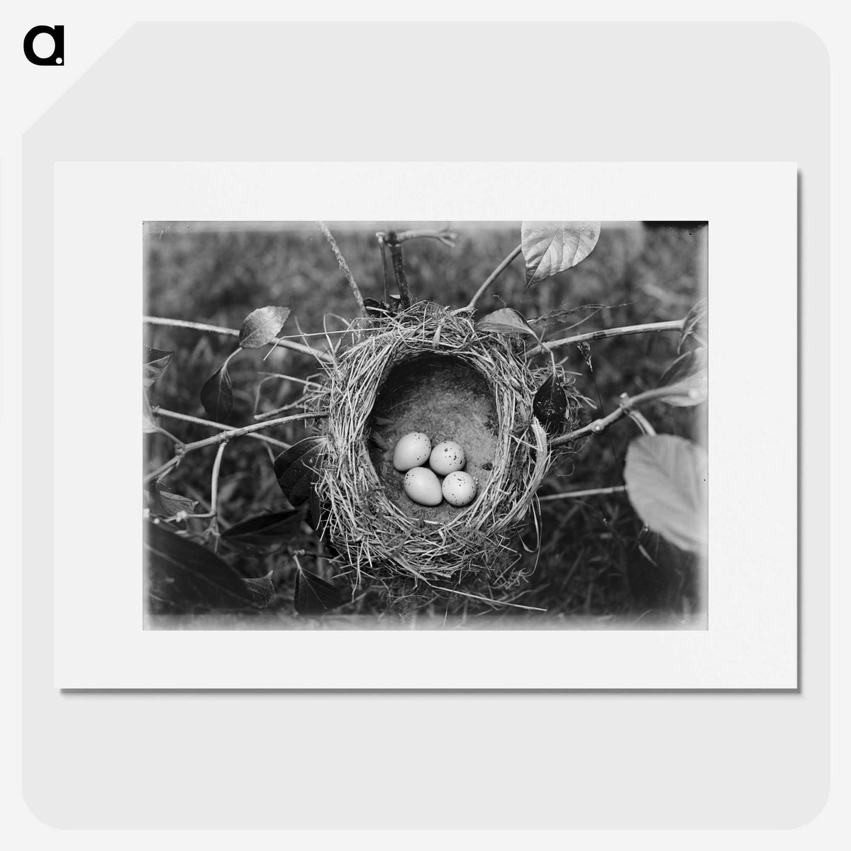 2-54_Leslie-Adkin_picture