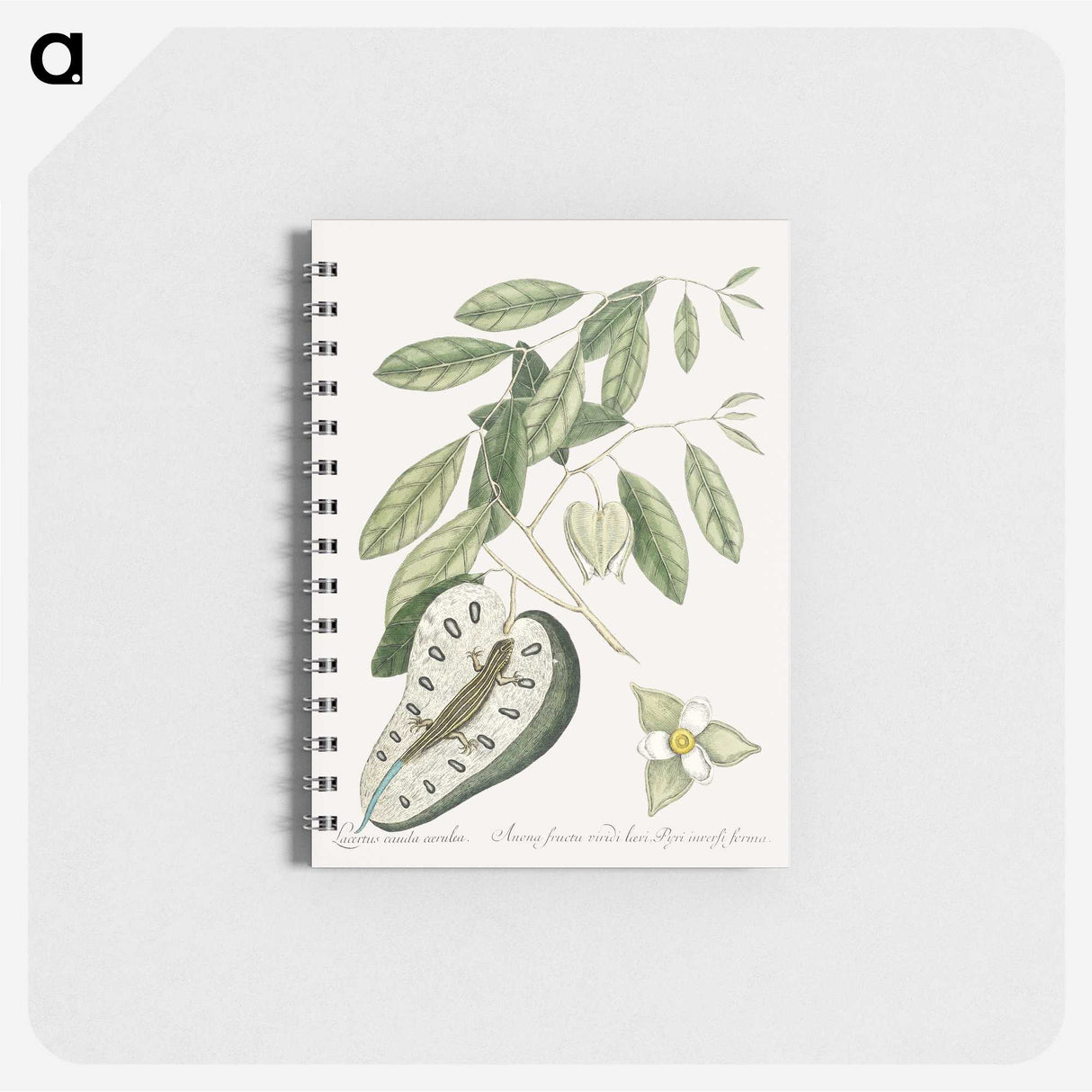 2-54_Mark-Catesby_memo