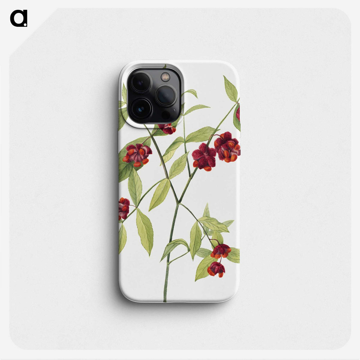 2-54_Mary-Vaux-Walcott_phone