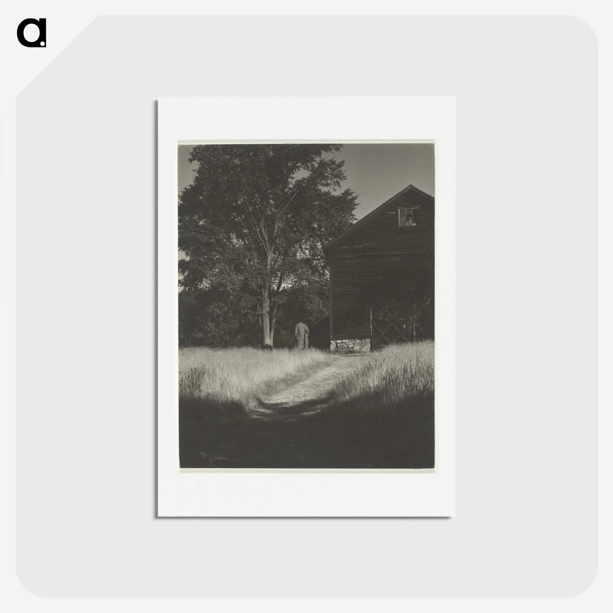 2-55_Alfred-Stieglitz_hagaki