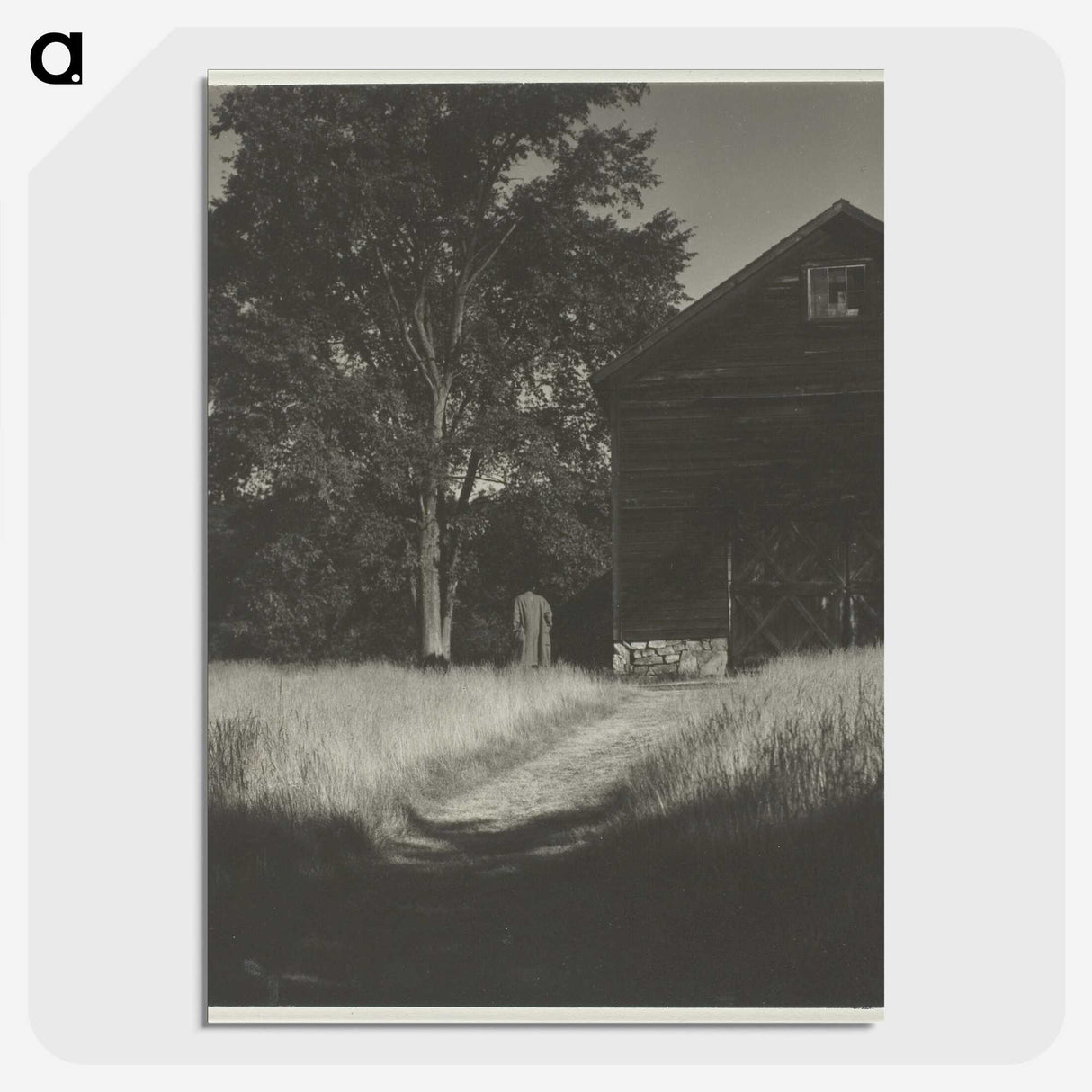 2-55_Alfred-Stieglitz_picture-crop