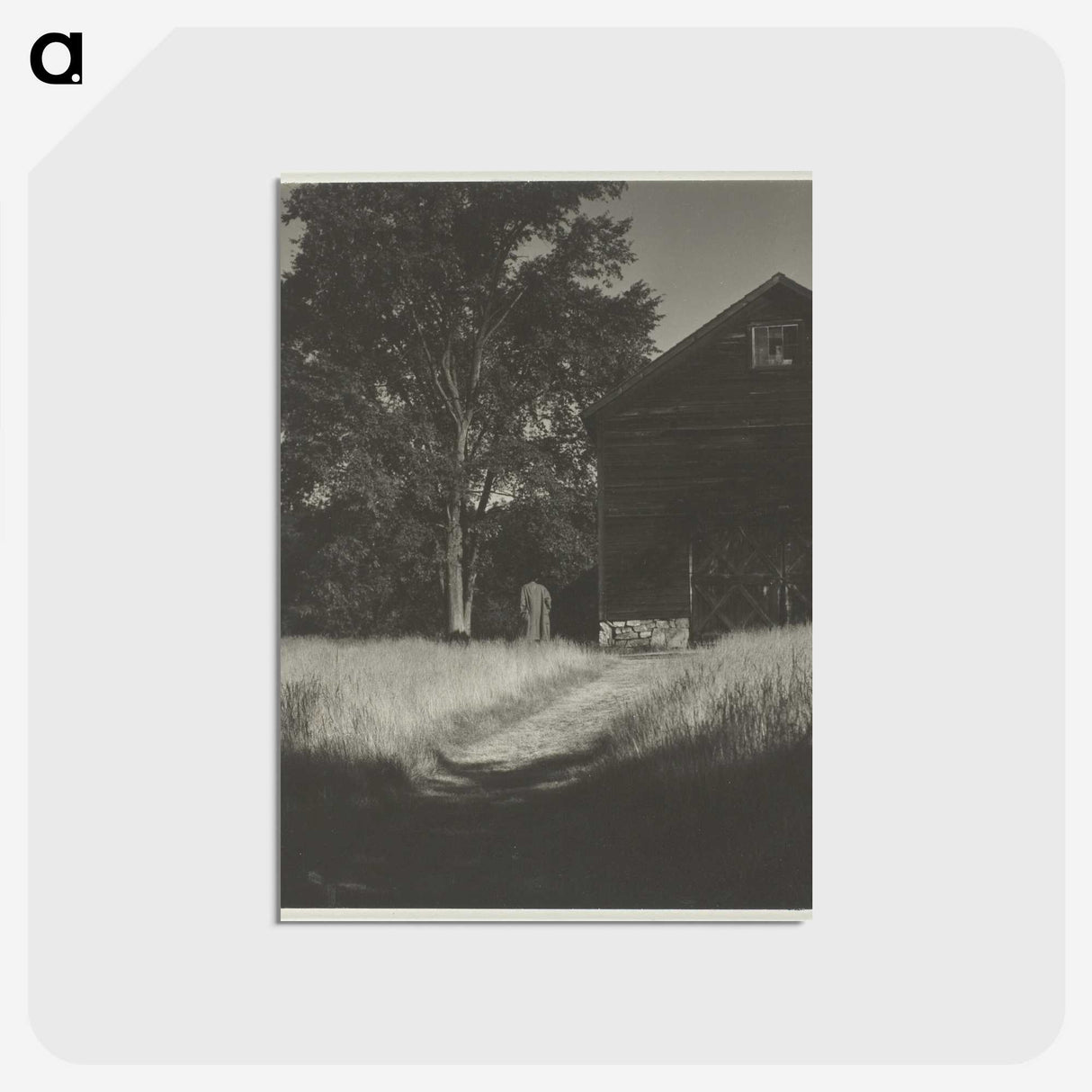 2-55_Alfred-Stieglitz_postcard