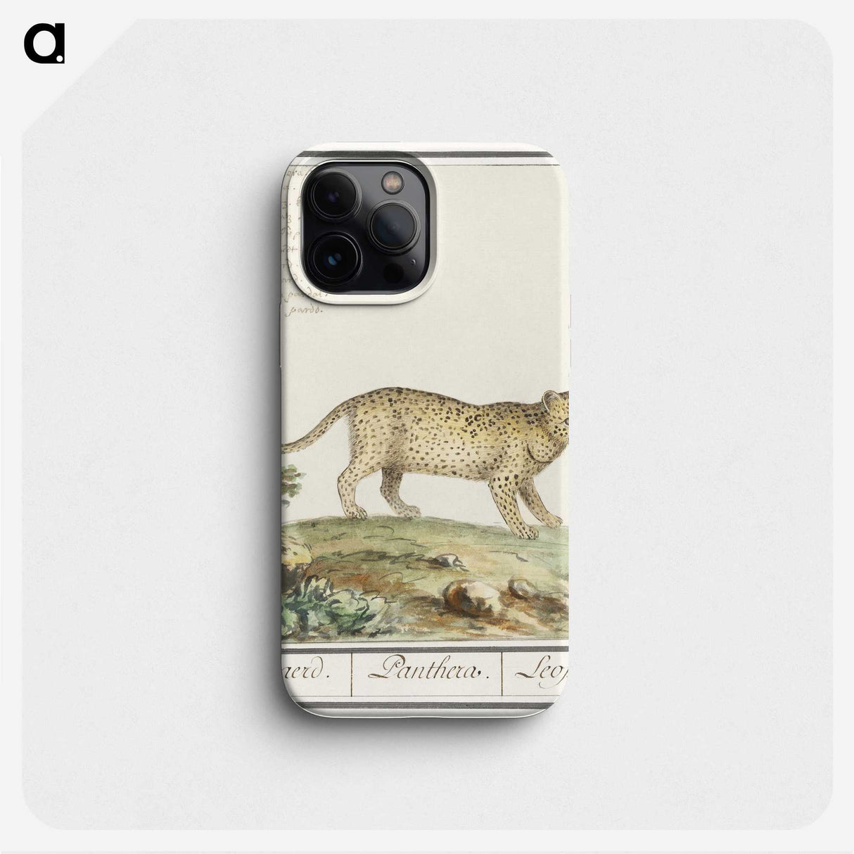 2-55_Anselmus-Boetius-de-Boodt_phone