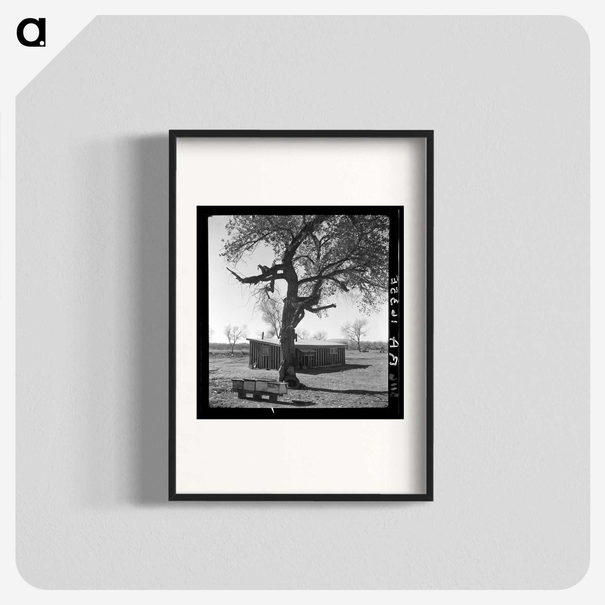 2-55_Dorothea-Lange_blk
