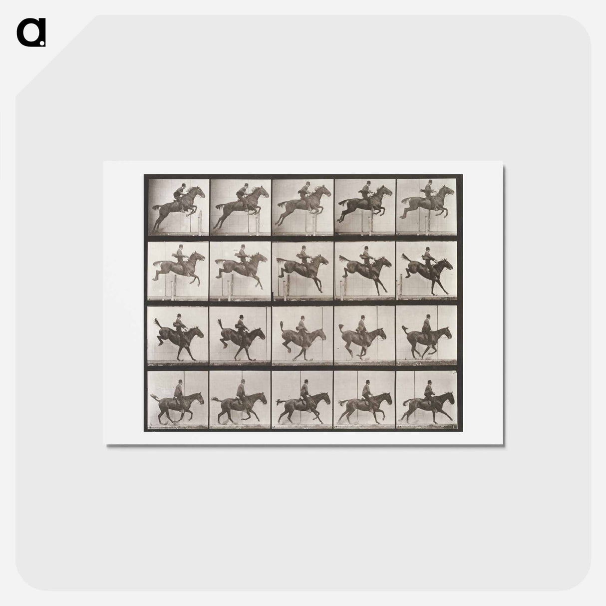 アートポストカード-Animal Locomotion Plate 637
- エドワード マイブリッジ Postcard.