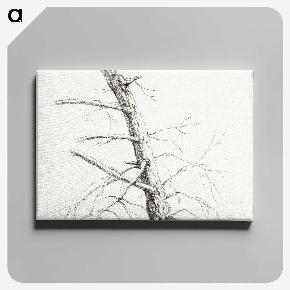 2-55_Jean-Bernard_canvas