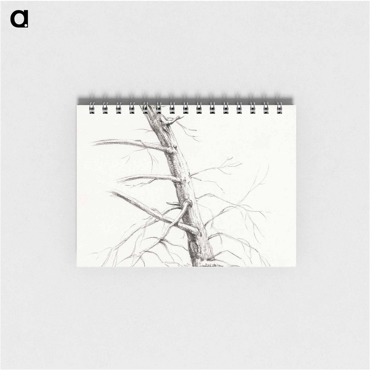 Study of a tree - ジャン ベルナール Memo.