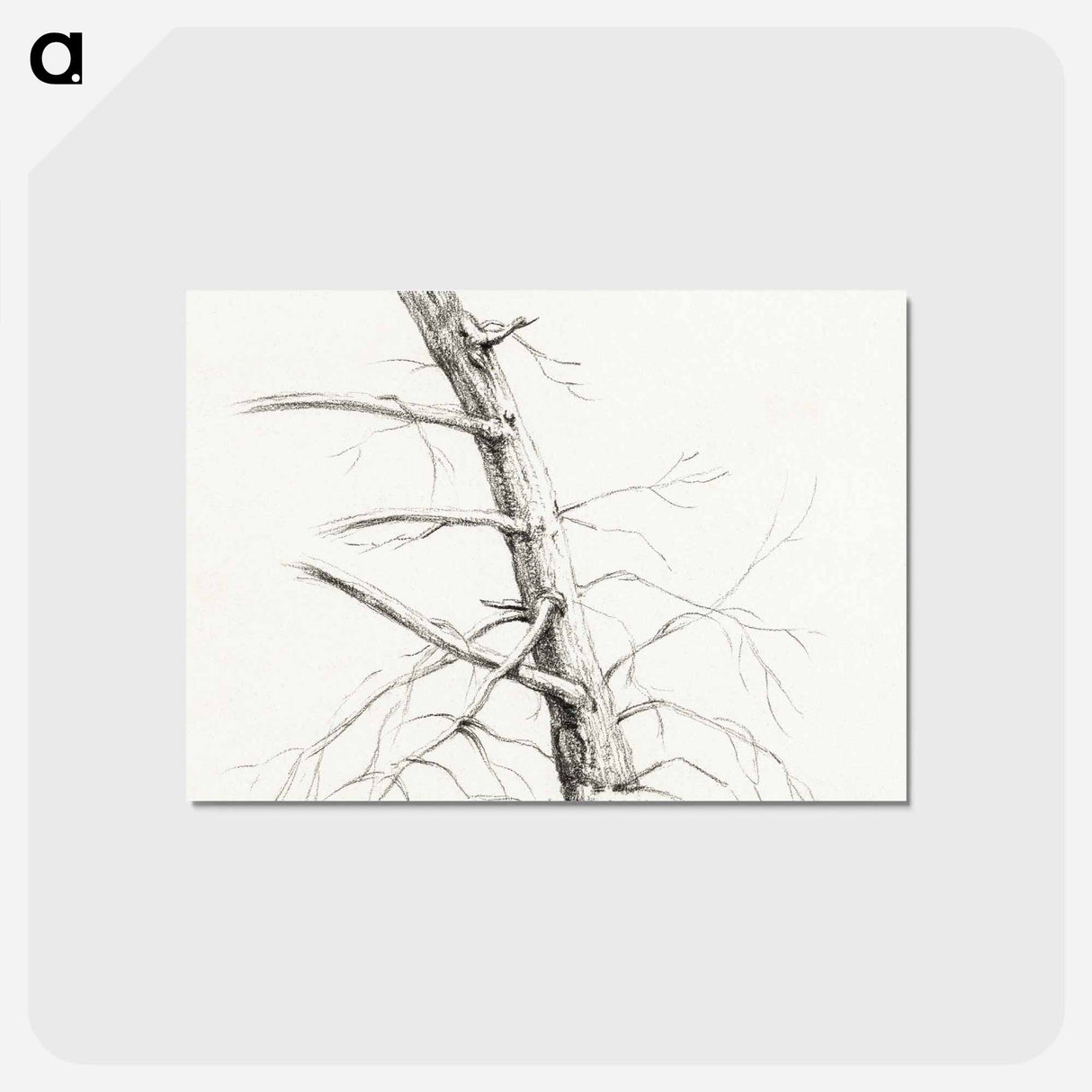 アートポストカード-Study of a tree - ジャン ベルナール Postcard.