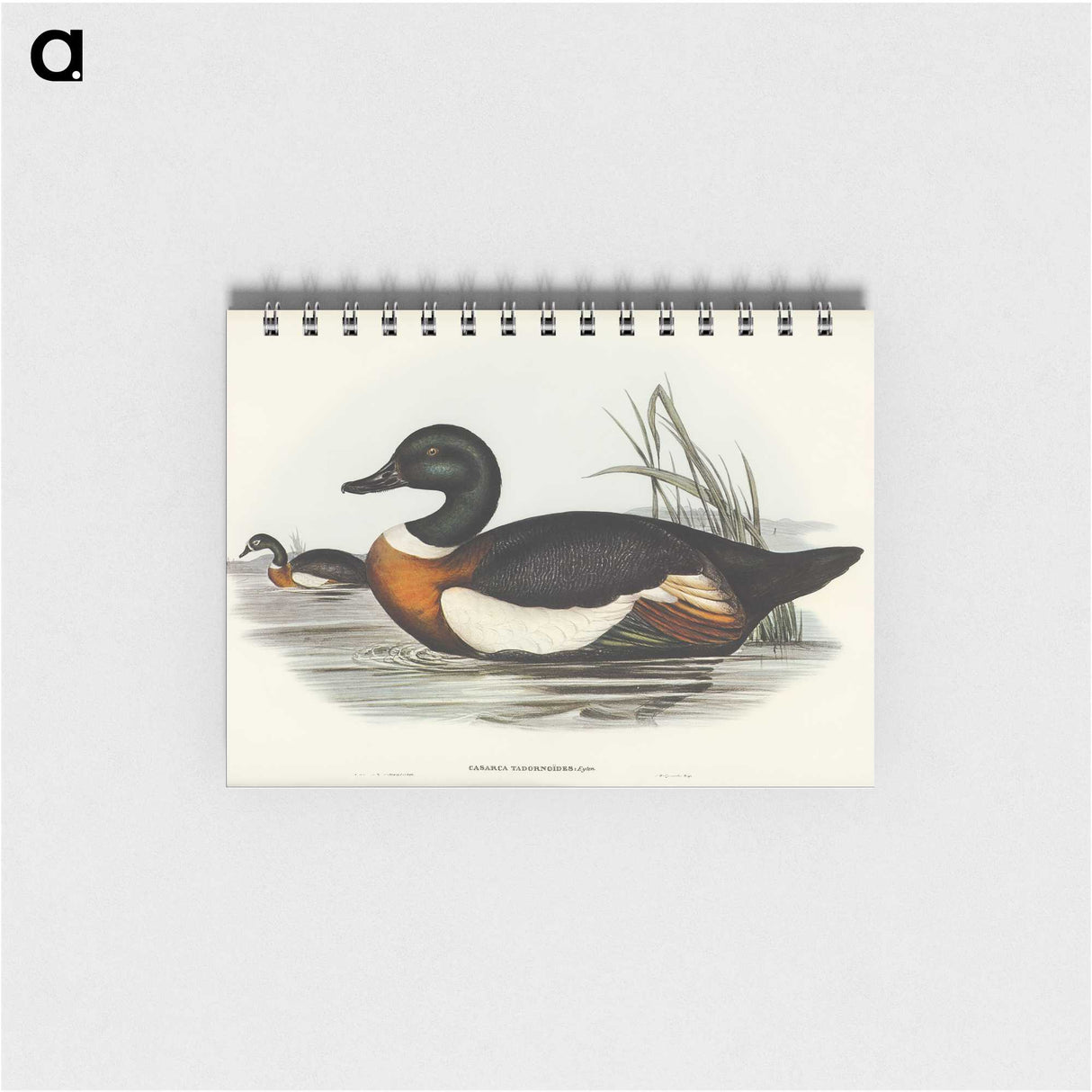 2-55_John-Gould_memo