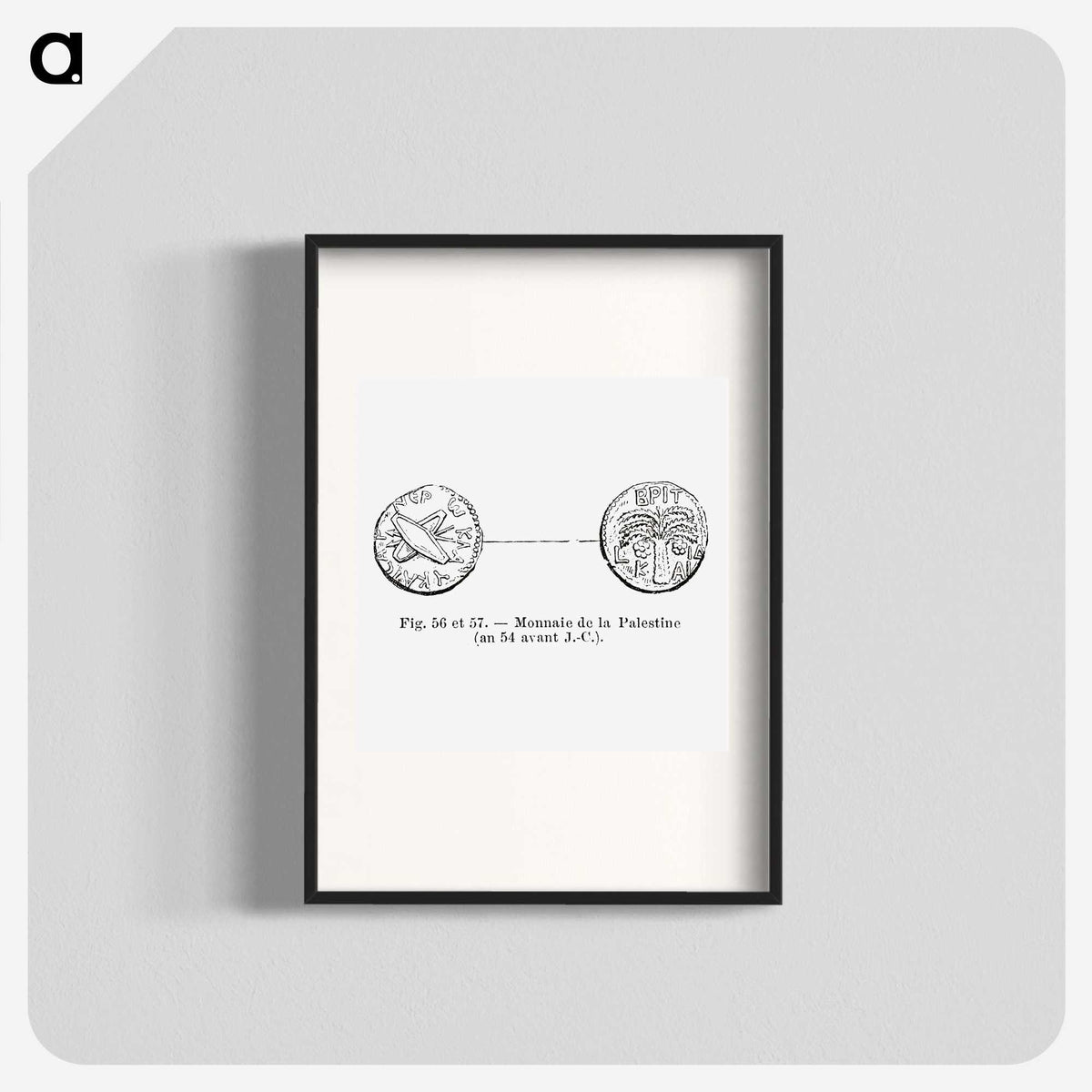 2-55_Les-Palmiers-Histoire-Iconographique_blk