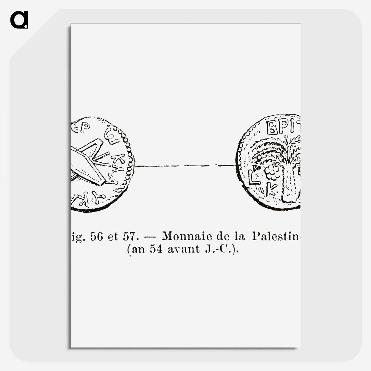 2-55_Les-Palmiers-Histoire-Iconographique_picture-crop