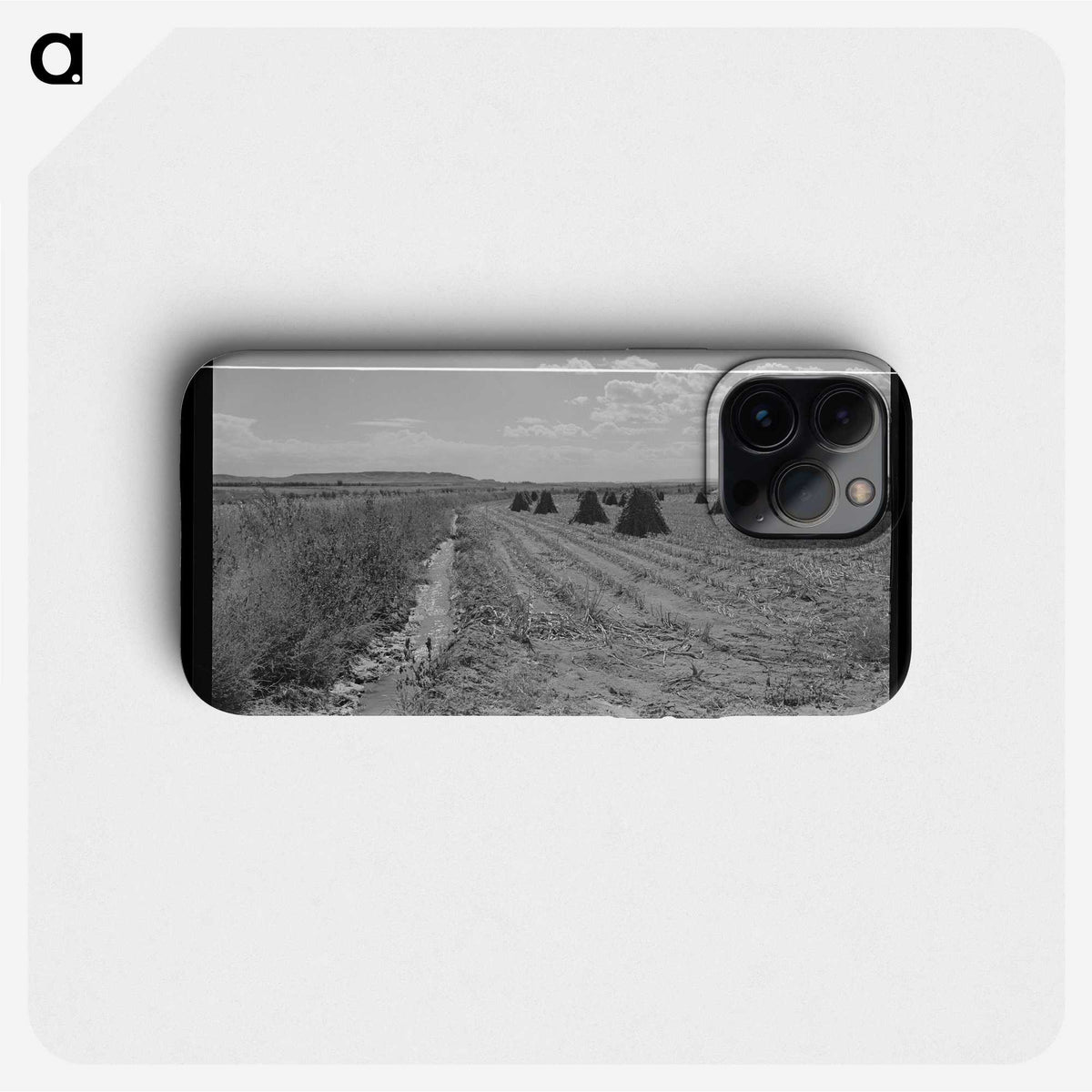 2-55_Marion-Post-Wolcott_phone