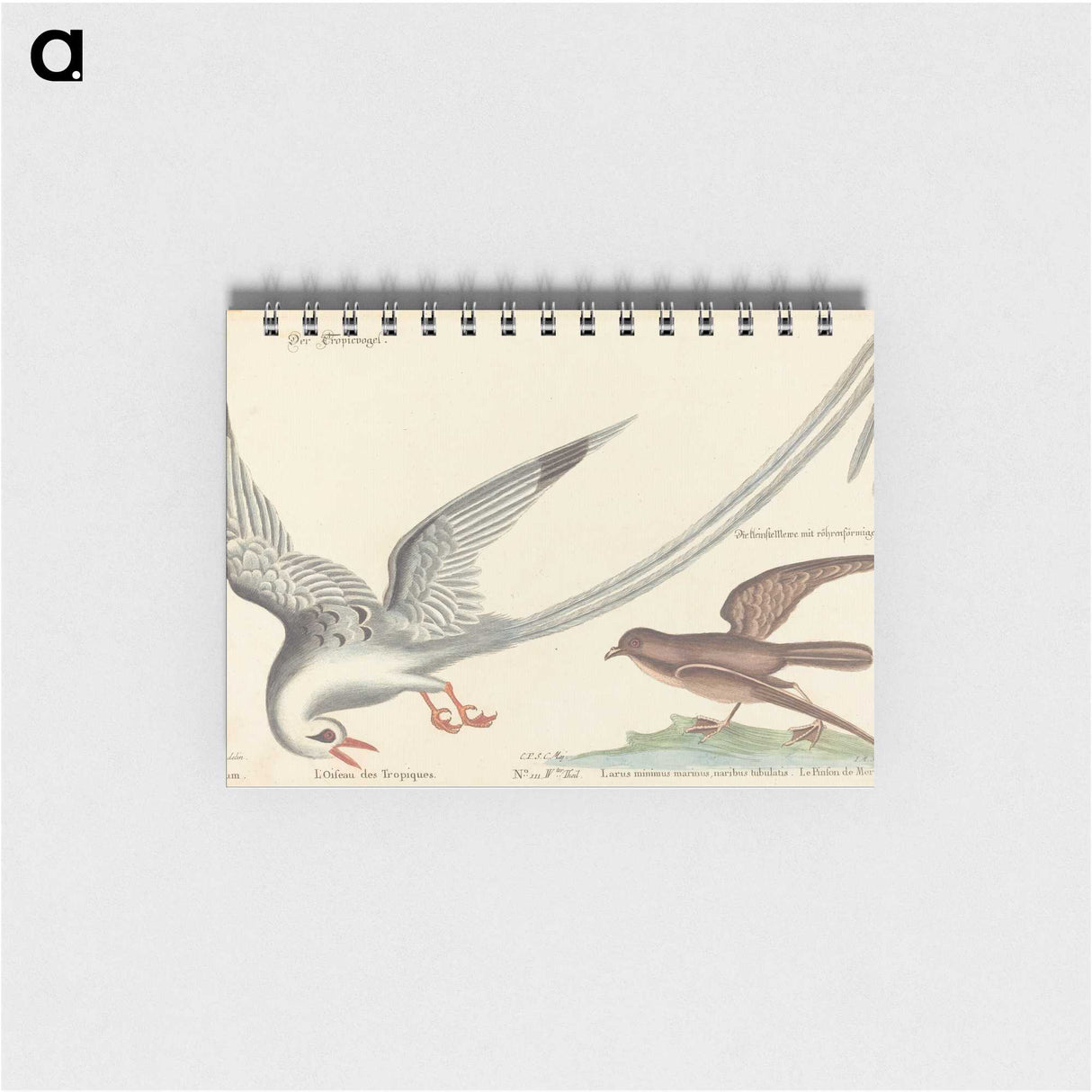 2-55_Mark-Catesby_memo