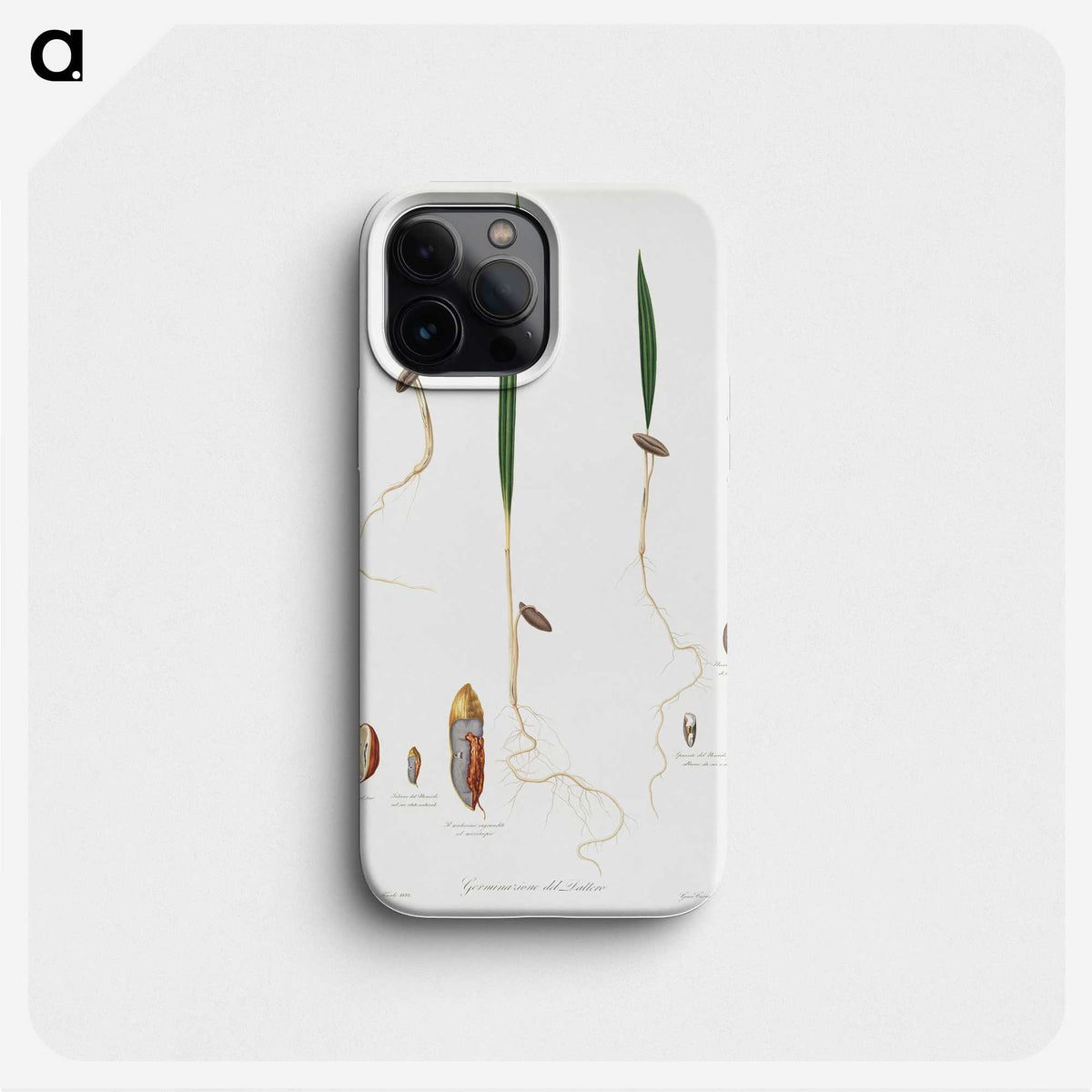 2-55_Pomona-Italiana_phone