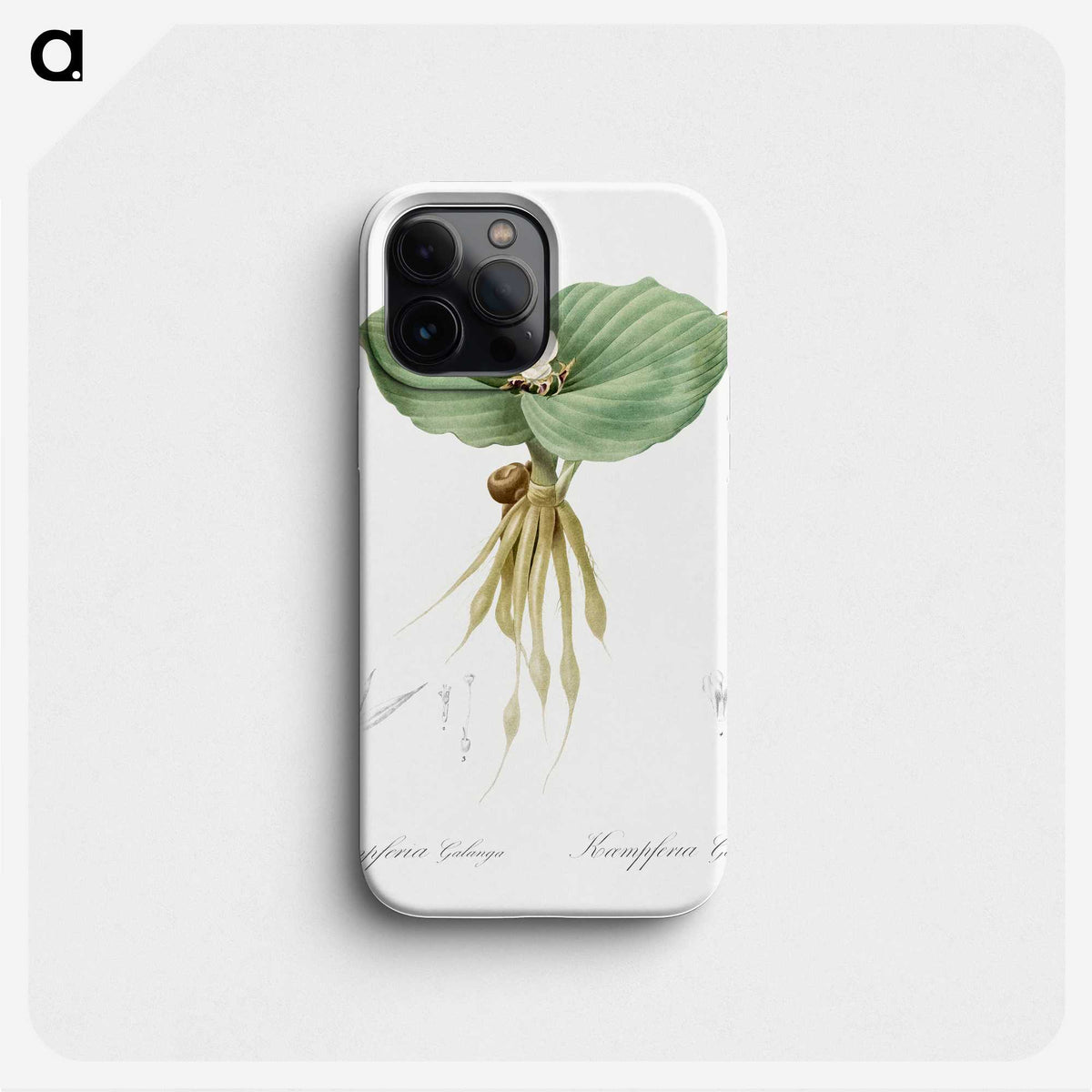 2-55_The-Lilies_phone