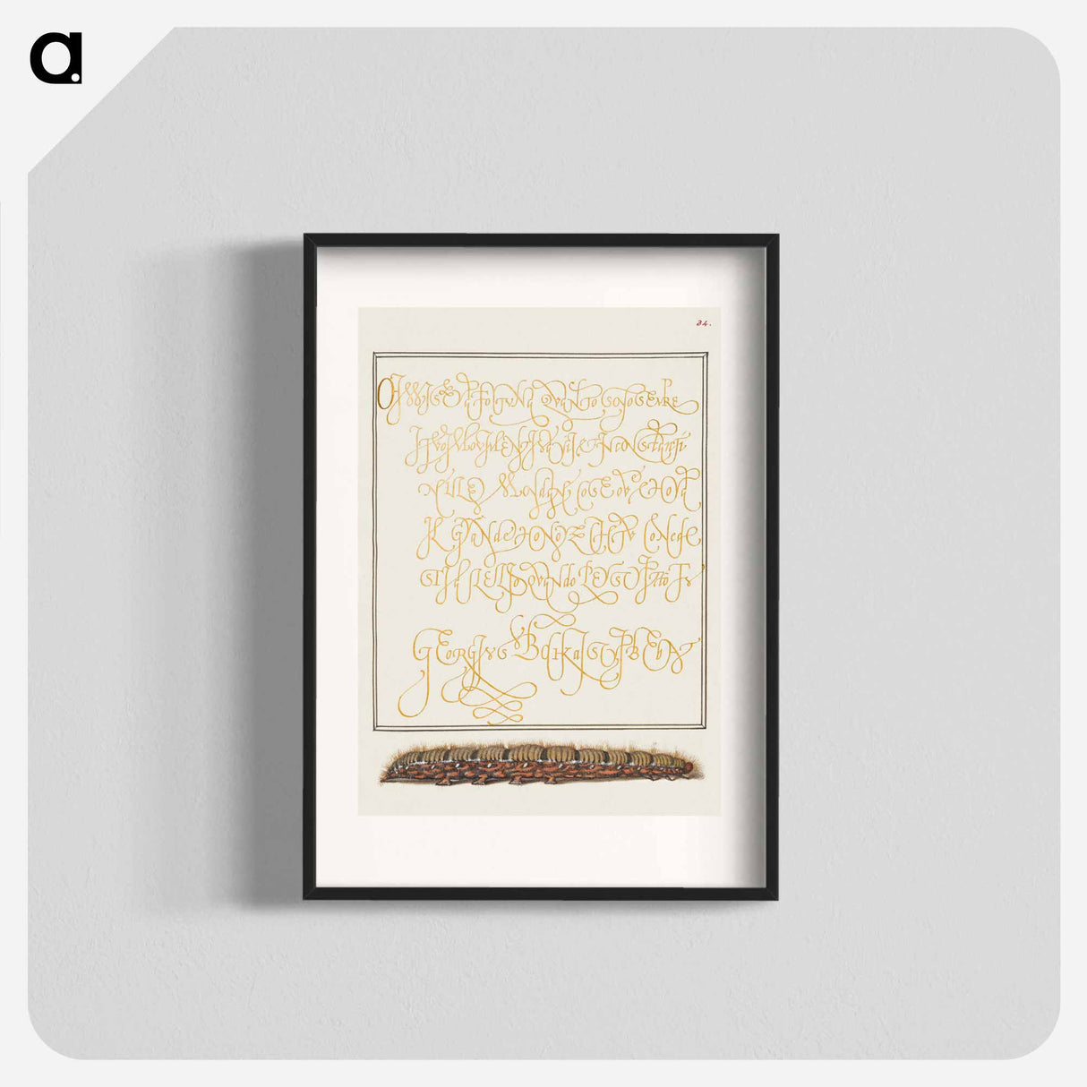 アートポスター-Larva of an Oak Egger Moth from Mira Calligraphiae Monumenta
- 書道のお手本 Poster.