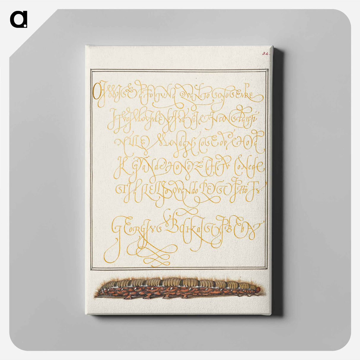 アートパネル-Larva of an Oak Egger Moth from Mira Calligraphiae Monumenta
- 書道のお手本 Canvas.