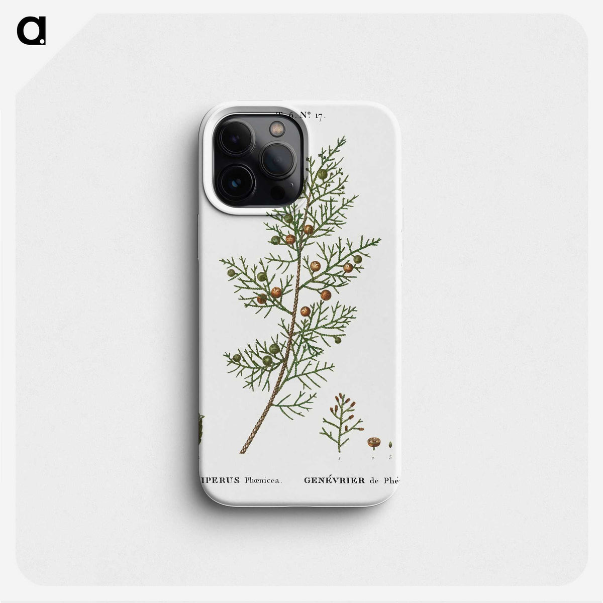2-55_Treatise-on-Trees-and-Shrubs_phone