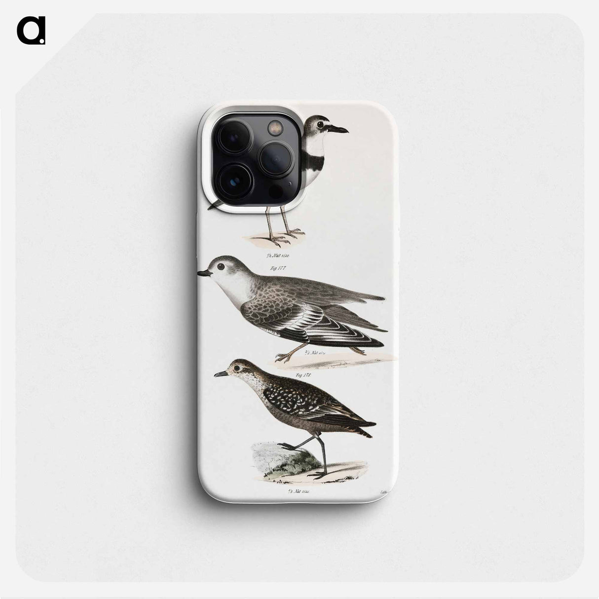 Wilson's Plover - New York Zoology Phone Case.