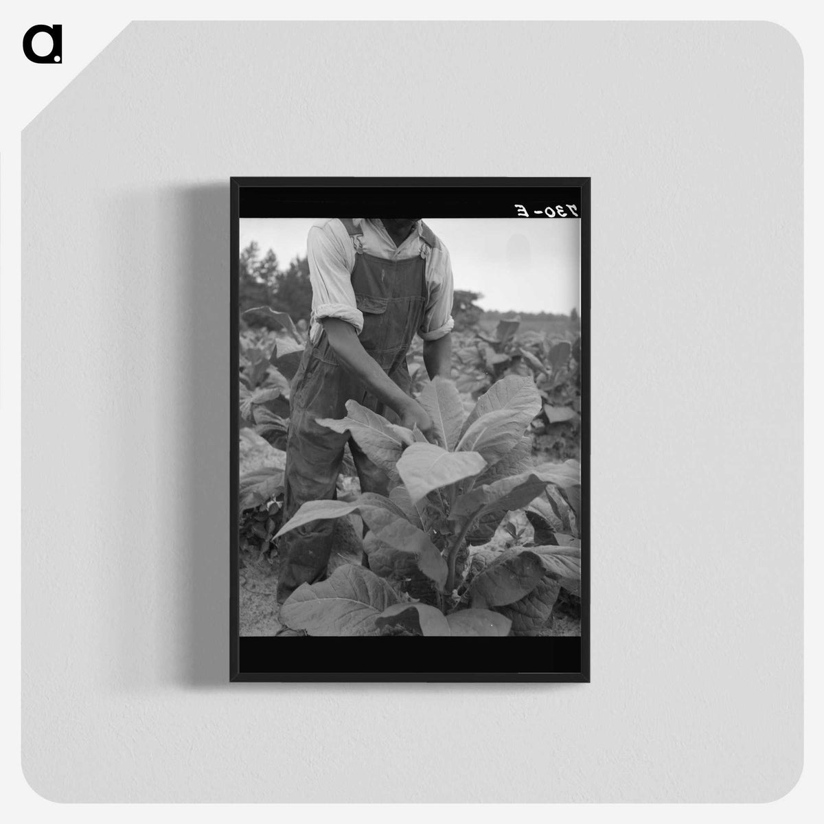2-56_Dorothea-Lange_blk-crop
