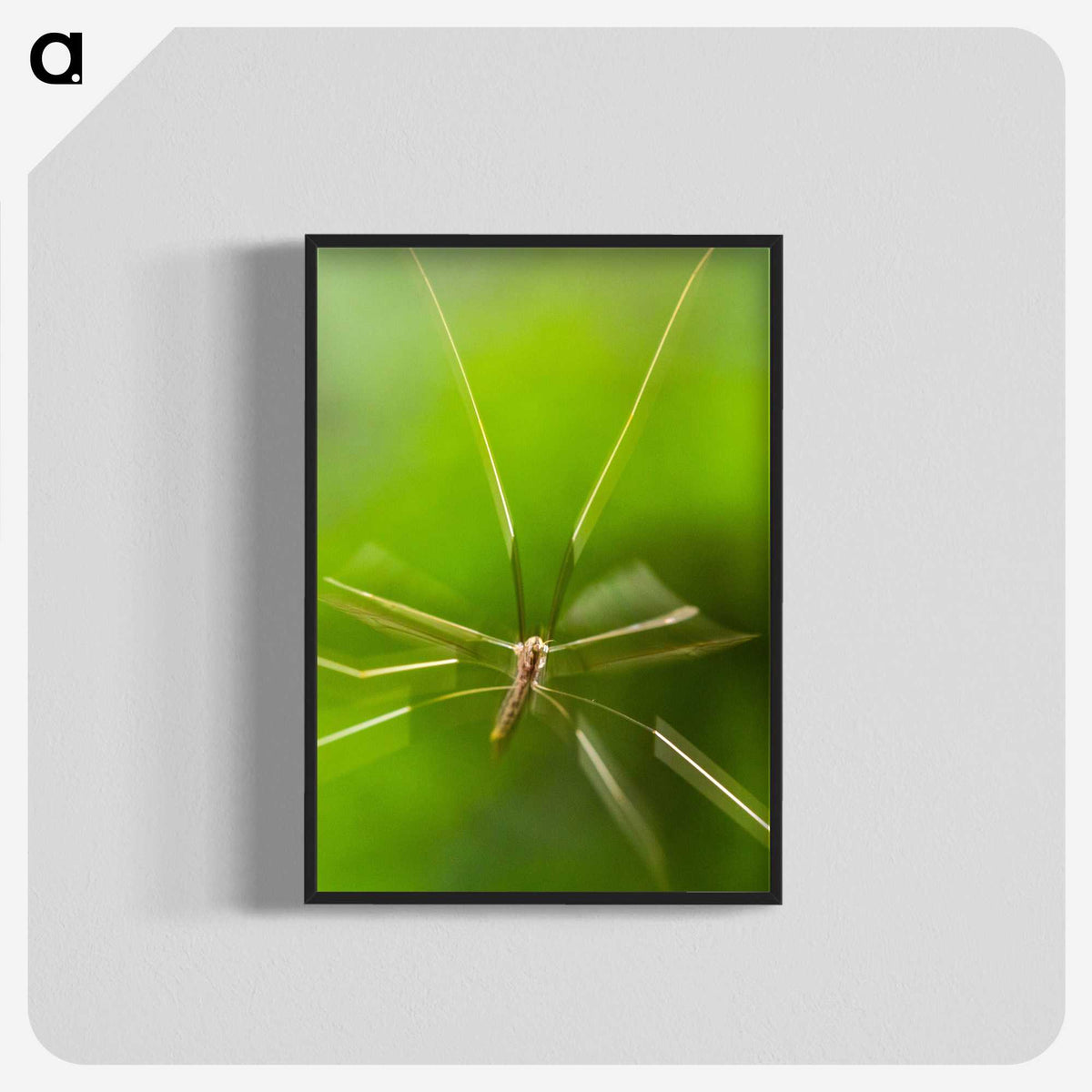 2-56_Insects-Unlocked-Project_blk-crop