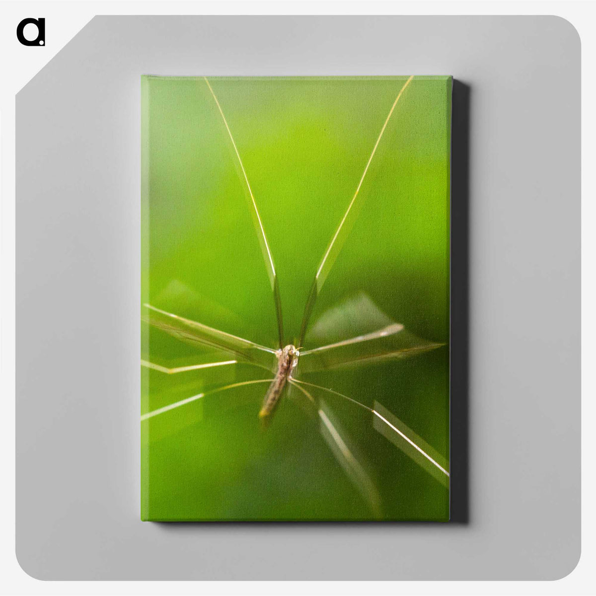 2-56_Insects-Unlocked-Project_canvas