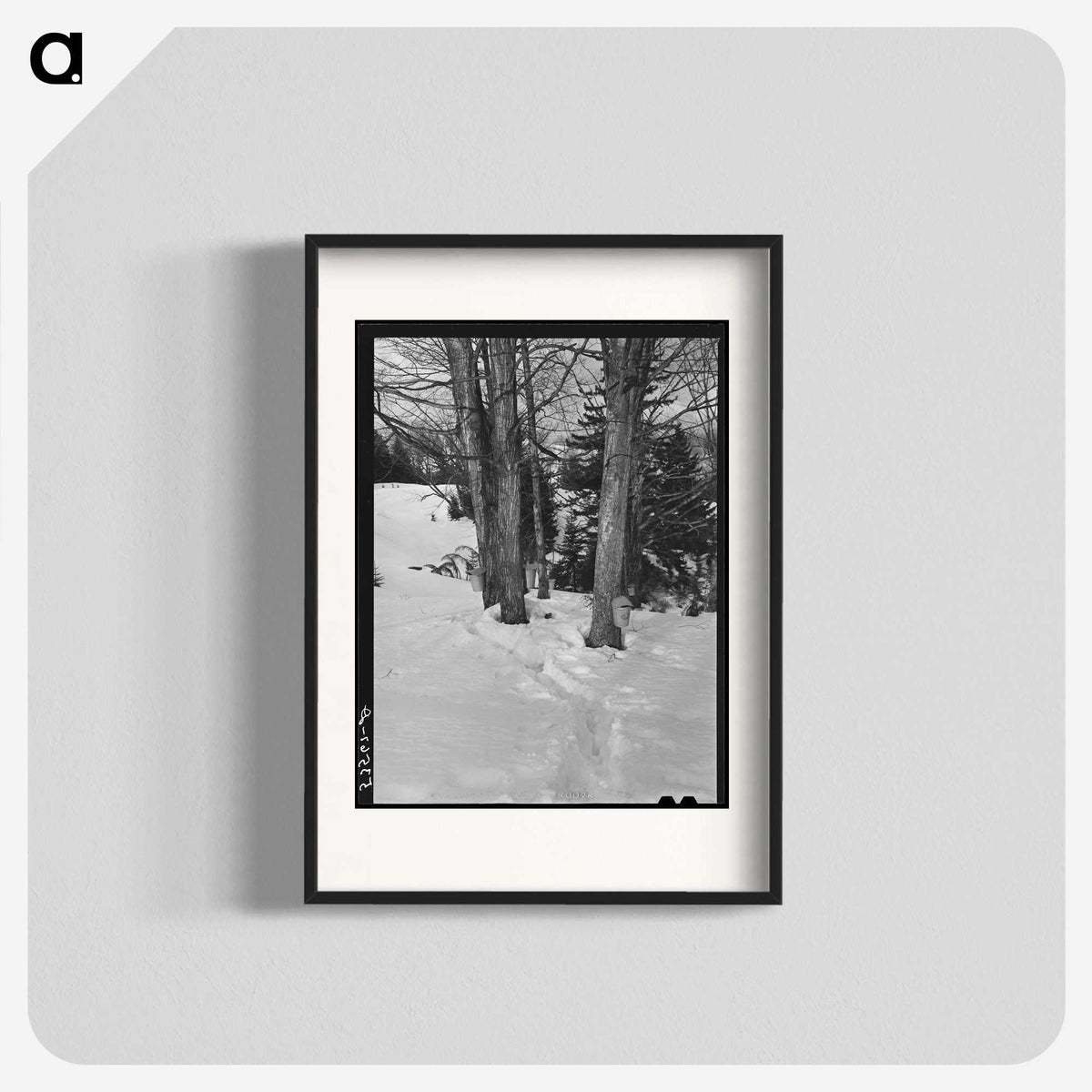 2-56_Marion-Post-Wolcott_blk