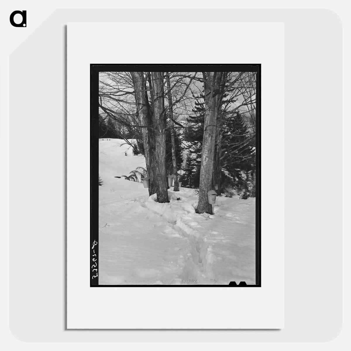 2-56_Marion-Post-Wolcott_picture