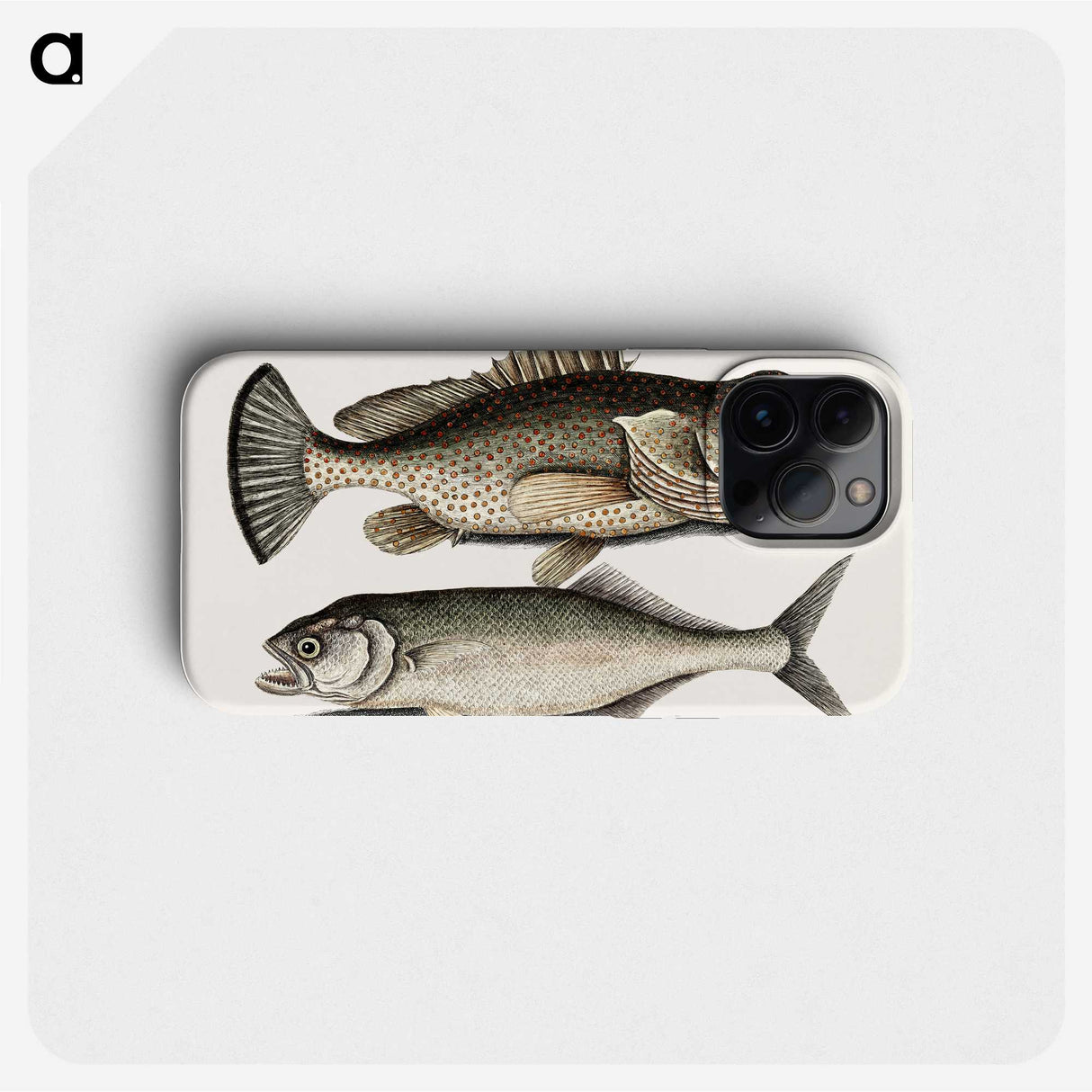 2-56_Mark-Catesby_phone