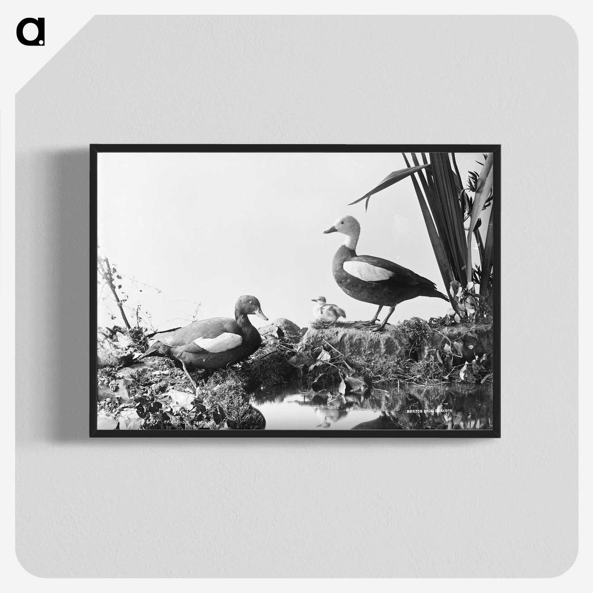 2-56_The-Burton-Brothers_blk-crop