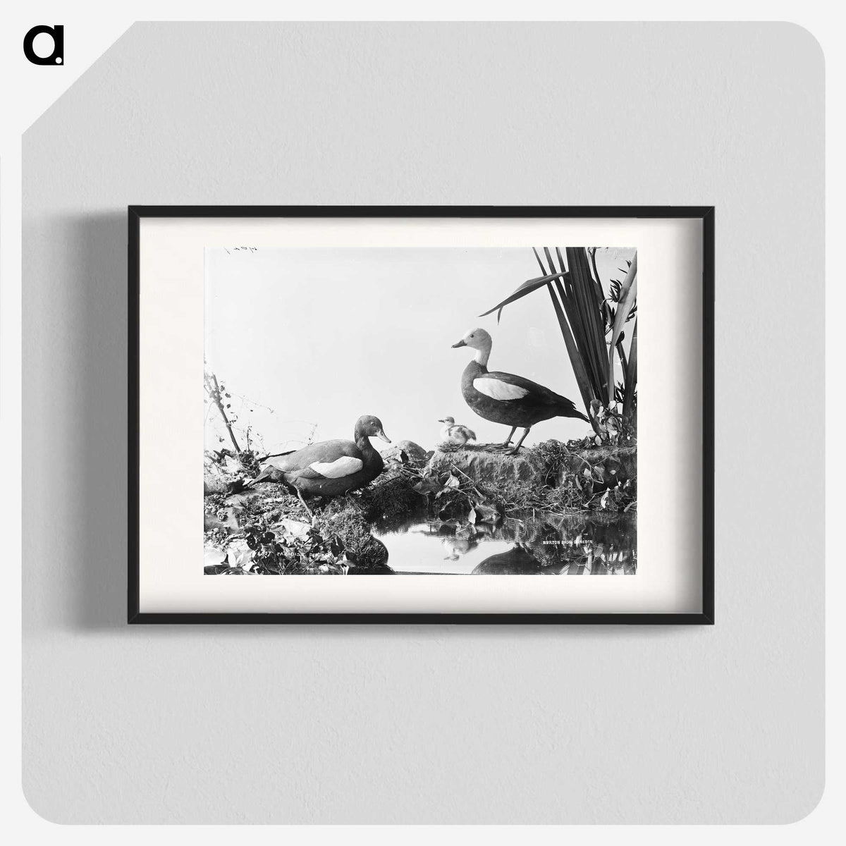 2-56_The-Burton-Brothers_blk