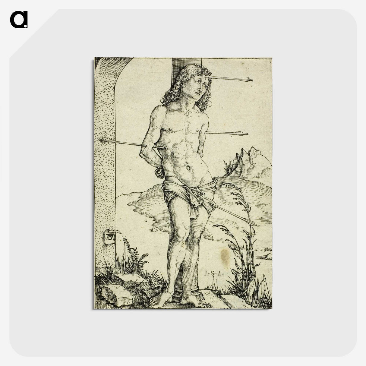 2-57_Albrecht-Durer_postcard