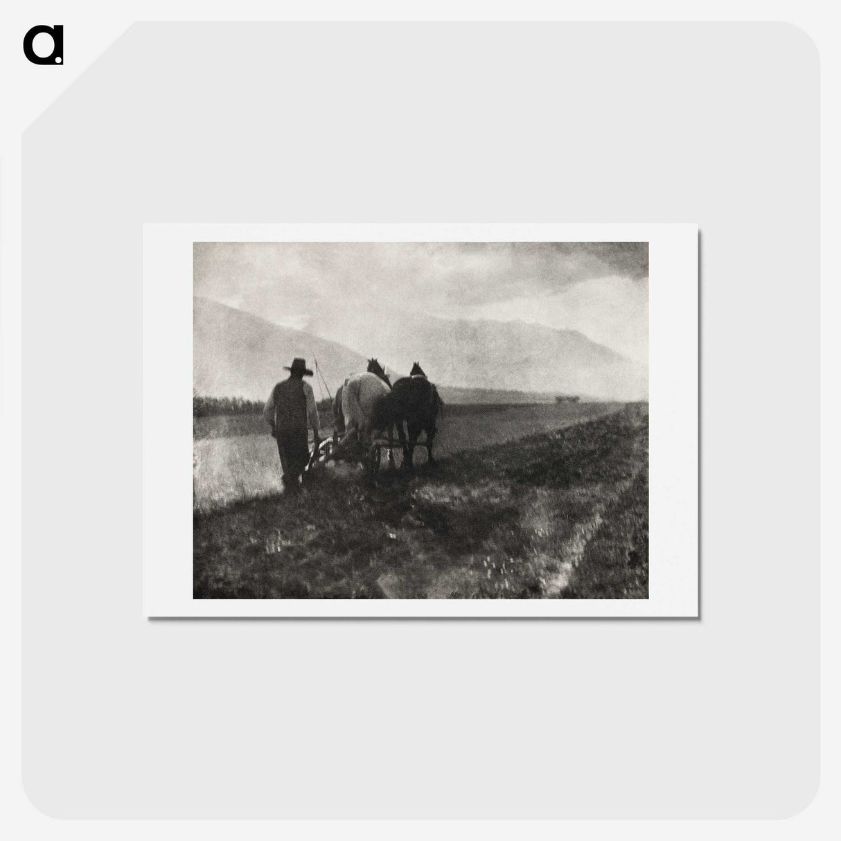 2-57_Alfred-Stieglitz_hagaki