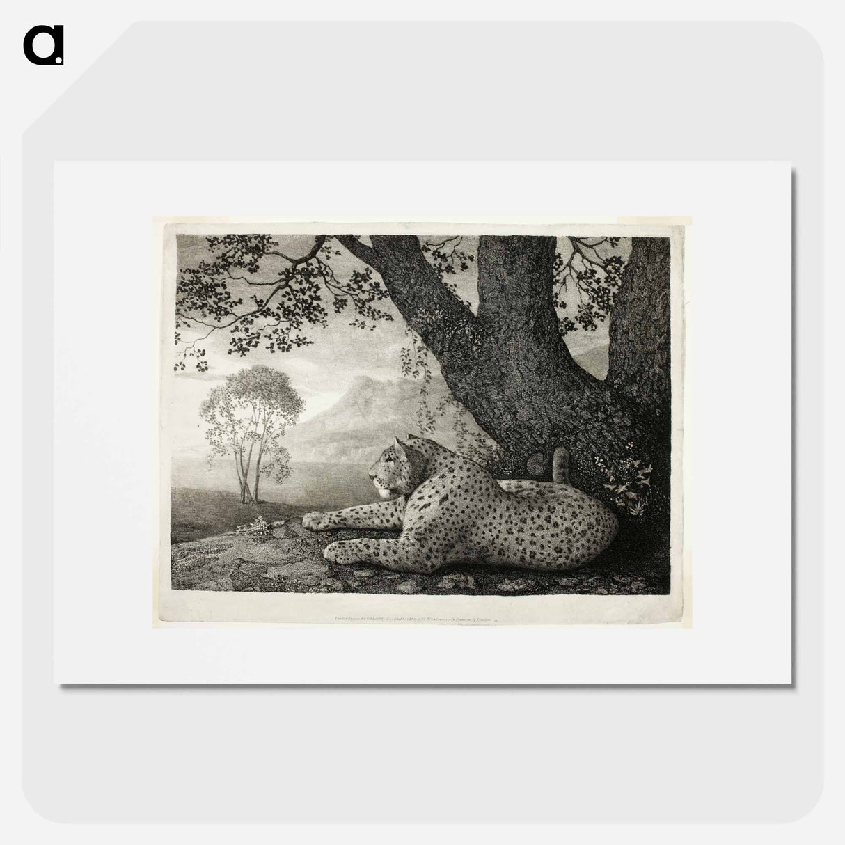 アートポスター-A Tyger (A Recumbent Leopard by a Tree)
- ジョージ スタッブス Poster.