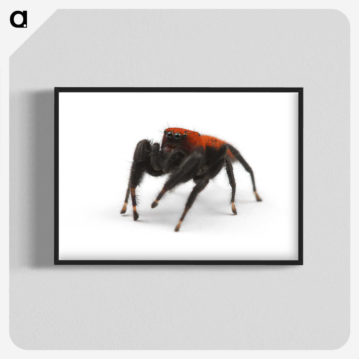 2-57_Insects-Unlocked-Project_blk-crop