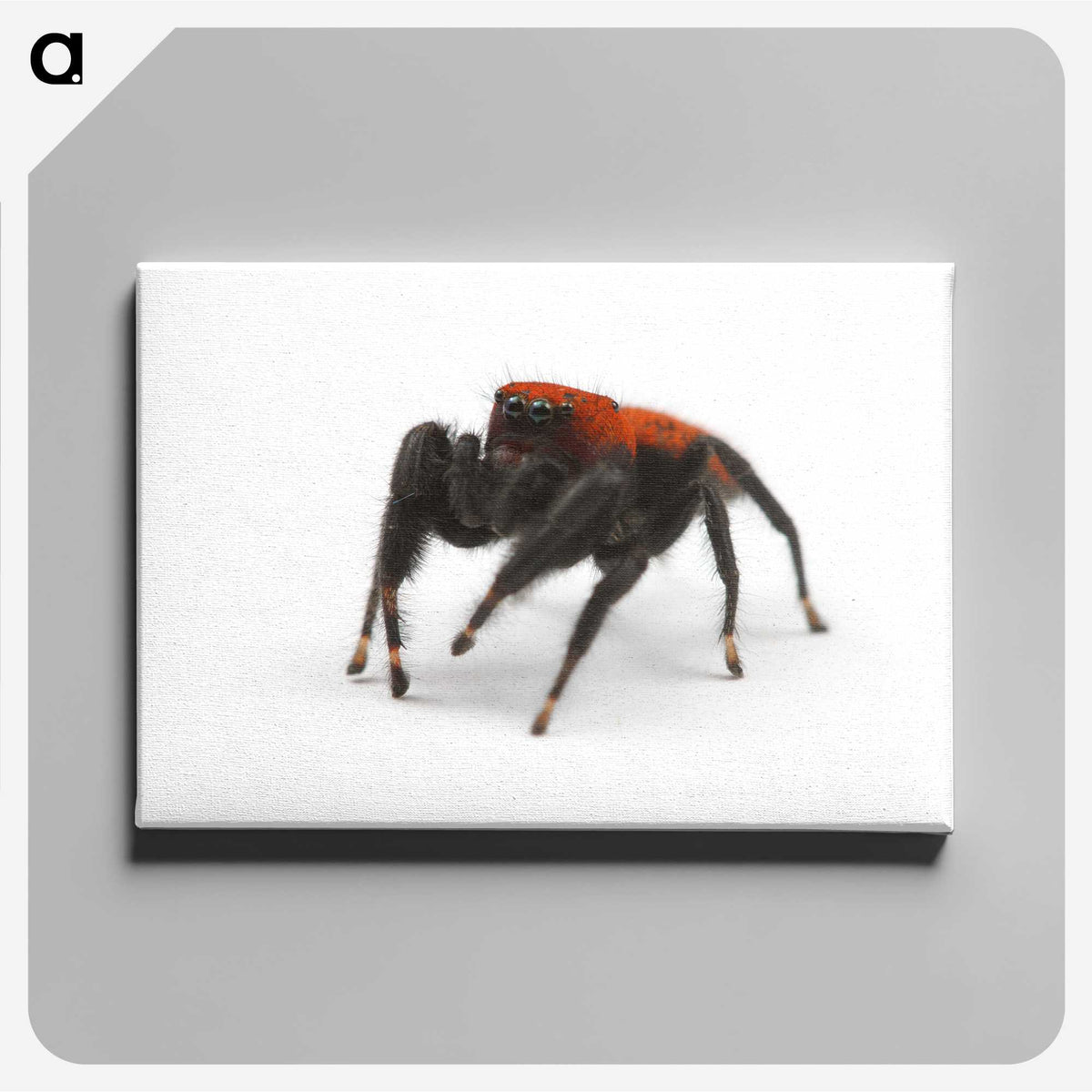 2-57_Insects-Unlocked-Project_canvas