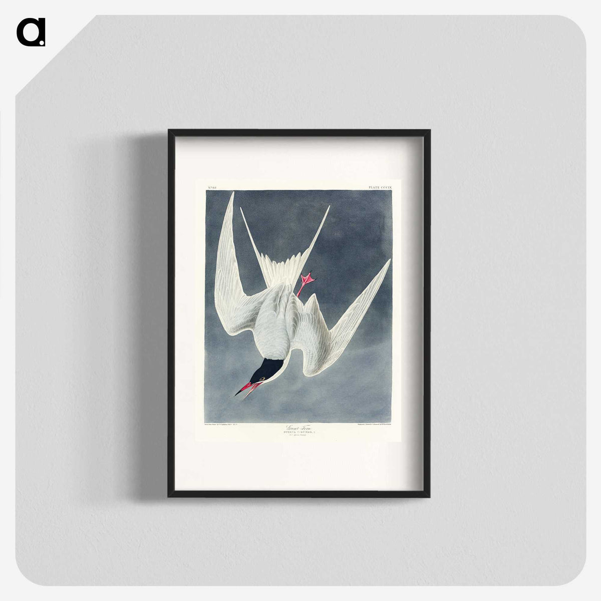 2-57_John-James-Audubon_blk