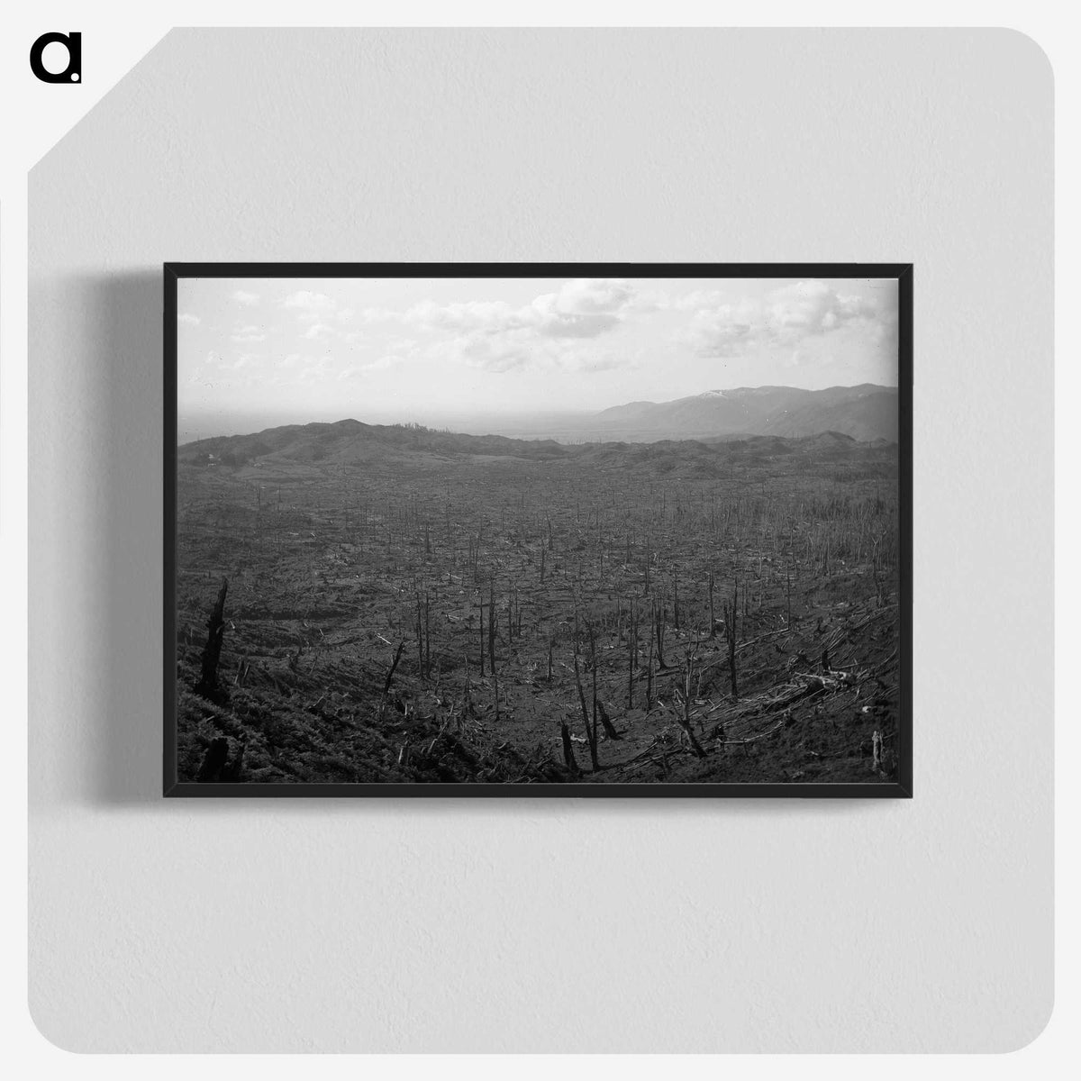 2-57_Leslie-Adkin_blk-crop