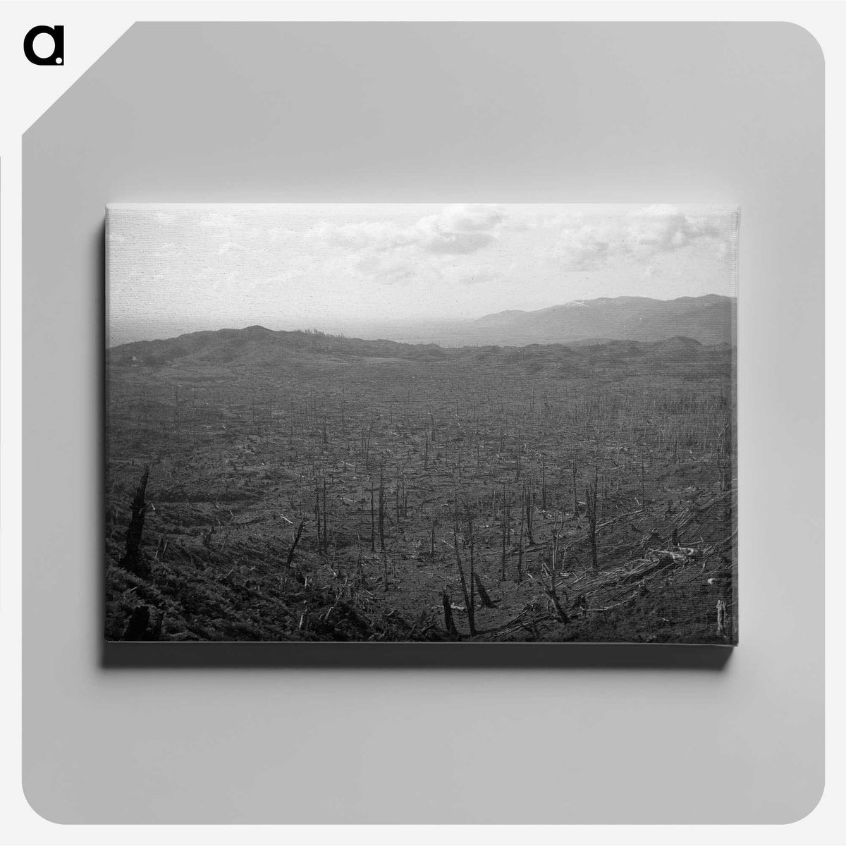 2-57_Leslie-Adkin_canvas