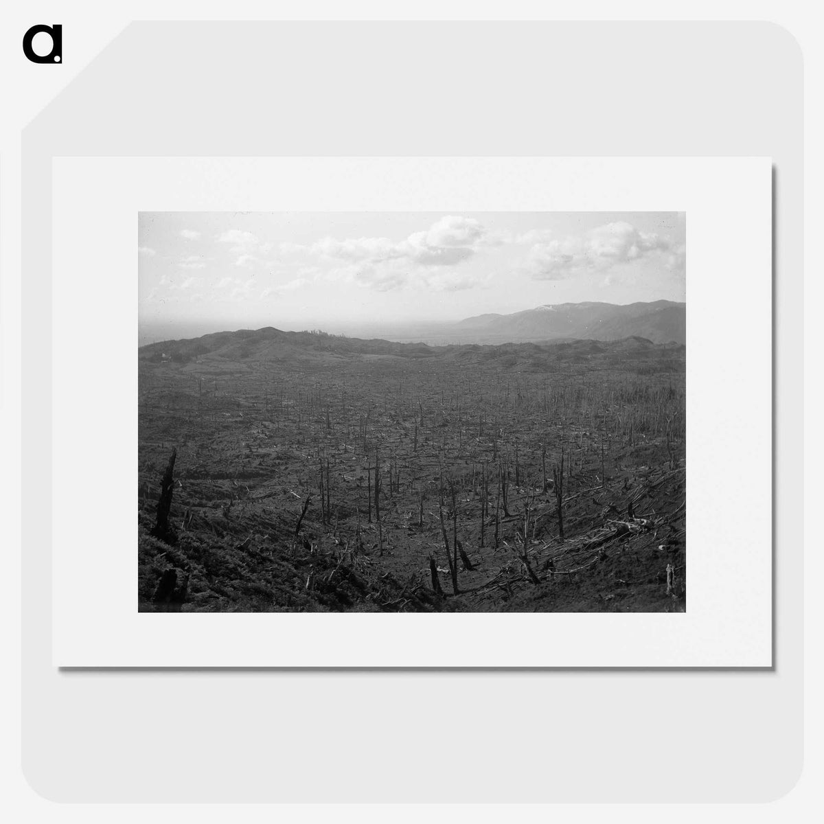 2-57_Leslie-Adkin_picture