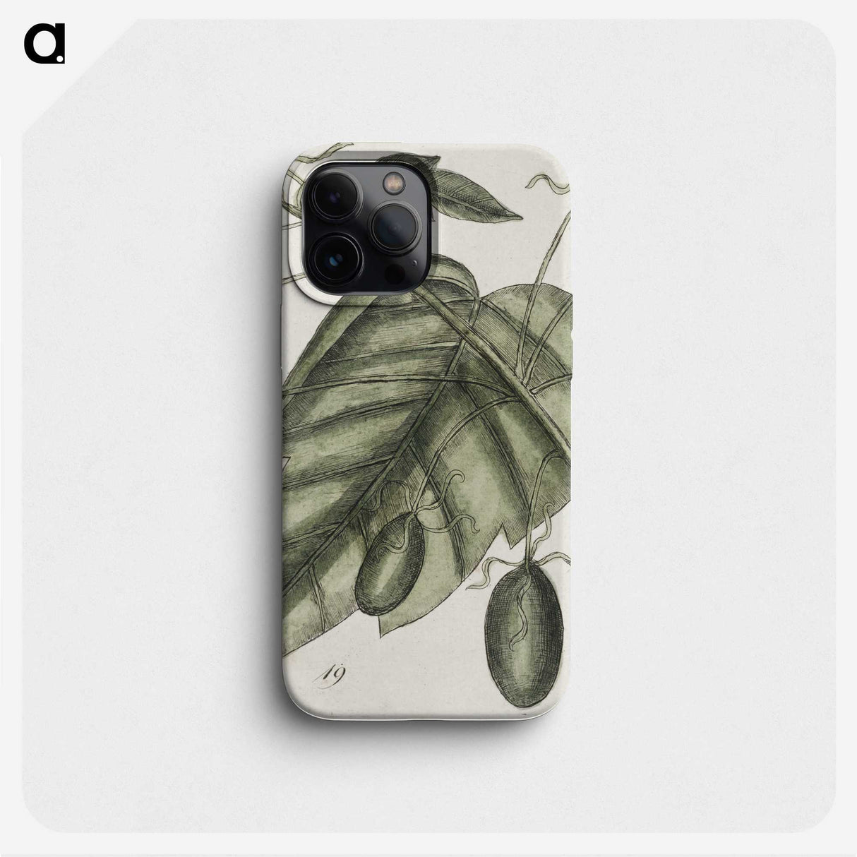 2-57_Mark-Catesby_phone