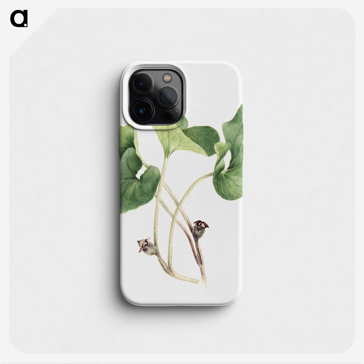 2-57_Mary-Vaux-Walcott_phone