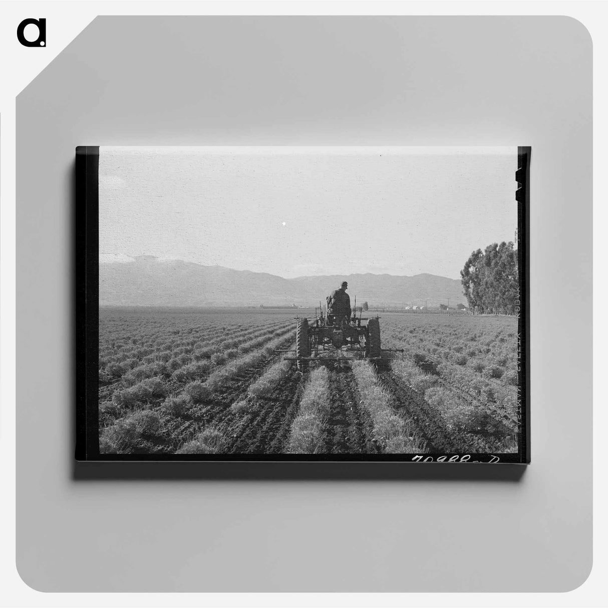 アートパネル-Tomato Picker
- ラッセル リー Canvas.