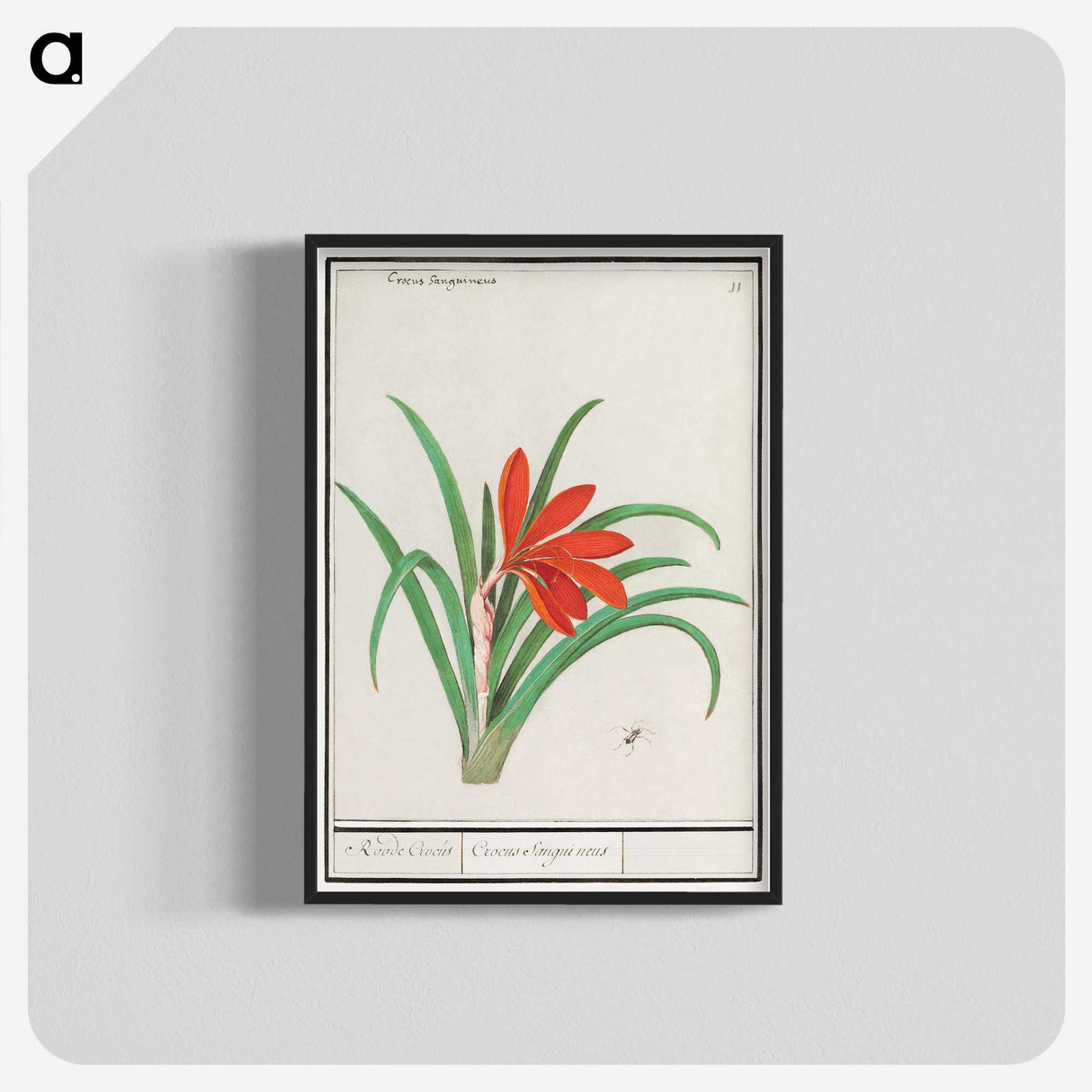 2-58_Anselmus-Boetius-de-Boodt_blk-crop